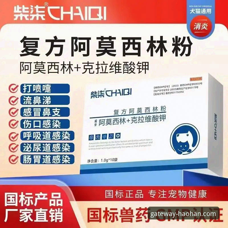 卡里克vs阿莫林：曼联战术变革深度对比——从浩瀚体育2026新版App数据看红魔复苏之路