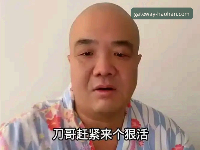资深用户刀哥分享：世预赛附加赛狂欢夜在浩瀚体育平台见证四强诞生，这些关键数据你必须知道