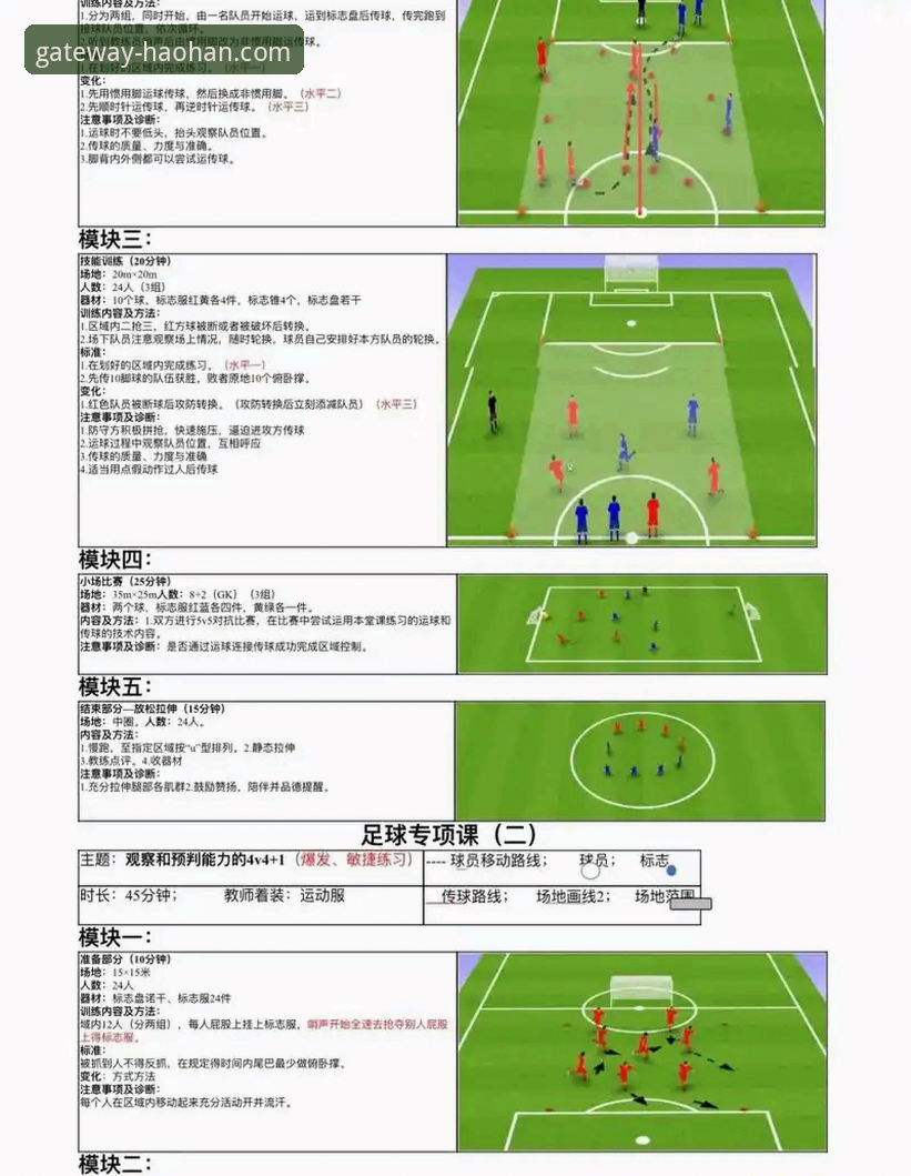 瑞典中场贝里瓦尔世界杯梦圆操作教程：从伤病到满座主场的完整体验指南
